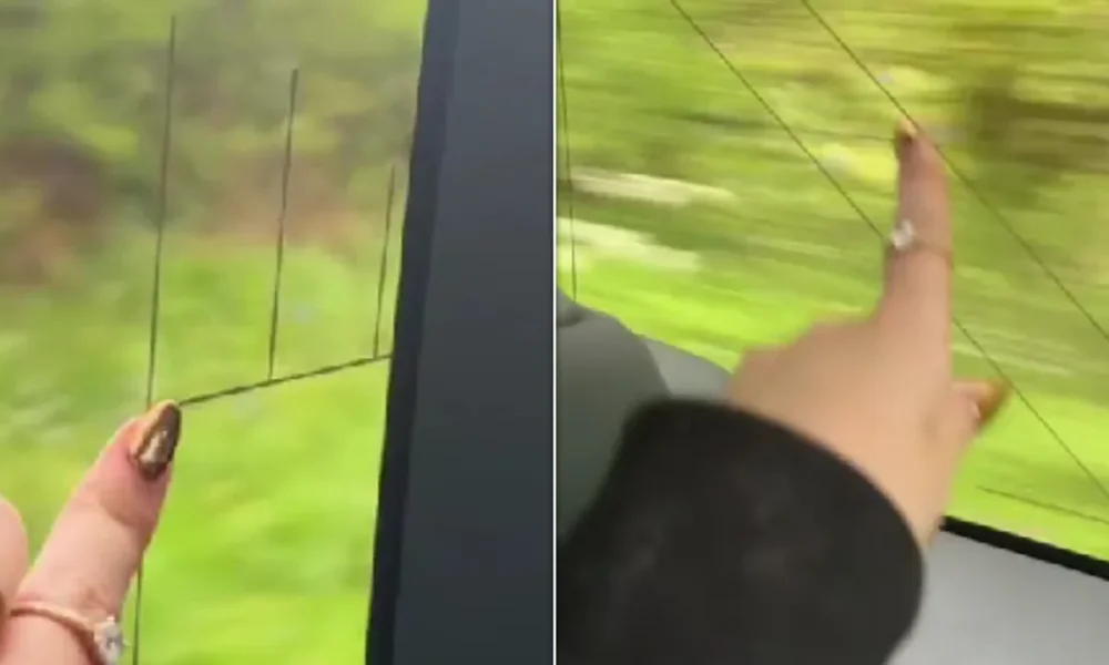 Motoring Experts Reveal What The Lines In Car Windows Do