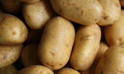 Tesco Shares How To Make Your Potatoes Last Longer
