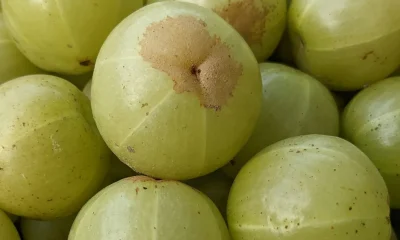 Indian Gooseberries: All Health Benefits, Explained
