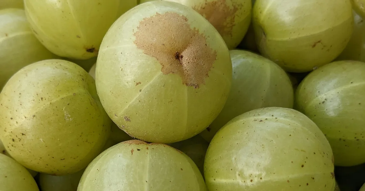 Indian Gooseberries: All Health Benefits, Explained