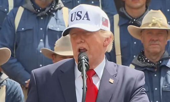 Trump Bizarrely Blames Vandals For Algae In Reflecting Pool
