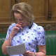 Reform MP Breaks Down Sharing Personal Adoption Story