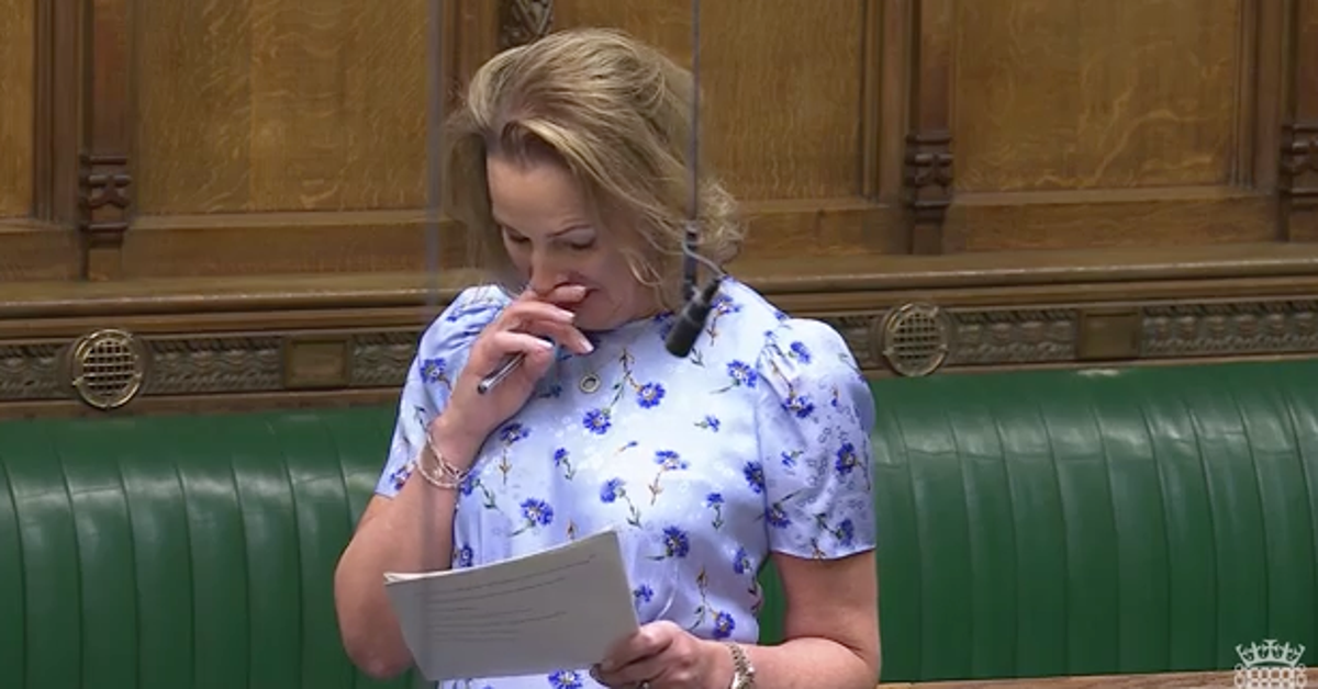 Reform MP Breaks Down Sharing Personal Adoption Story