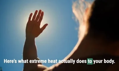 Here's what a heatwave actually does to your body