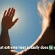 Here's what a heatwave actually does to your body