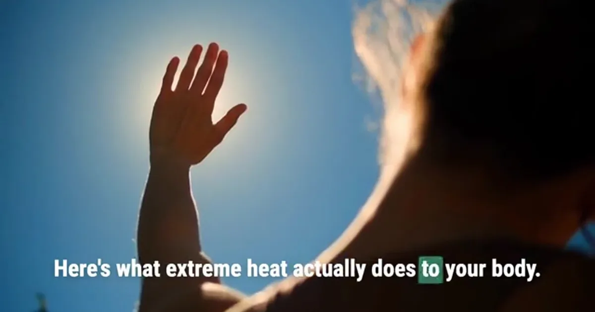 Here's what a heatwave actually does to your body