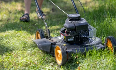 3 Gardening Jobs Never To Do In A Heatwave
