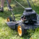 3 Gardening Jobs Never To Do In A Heatwave