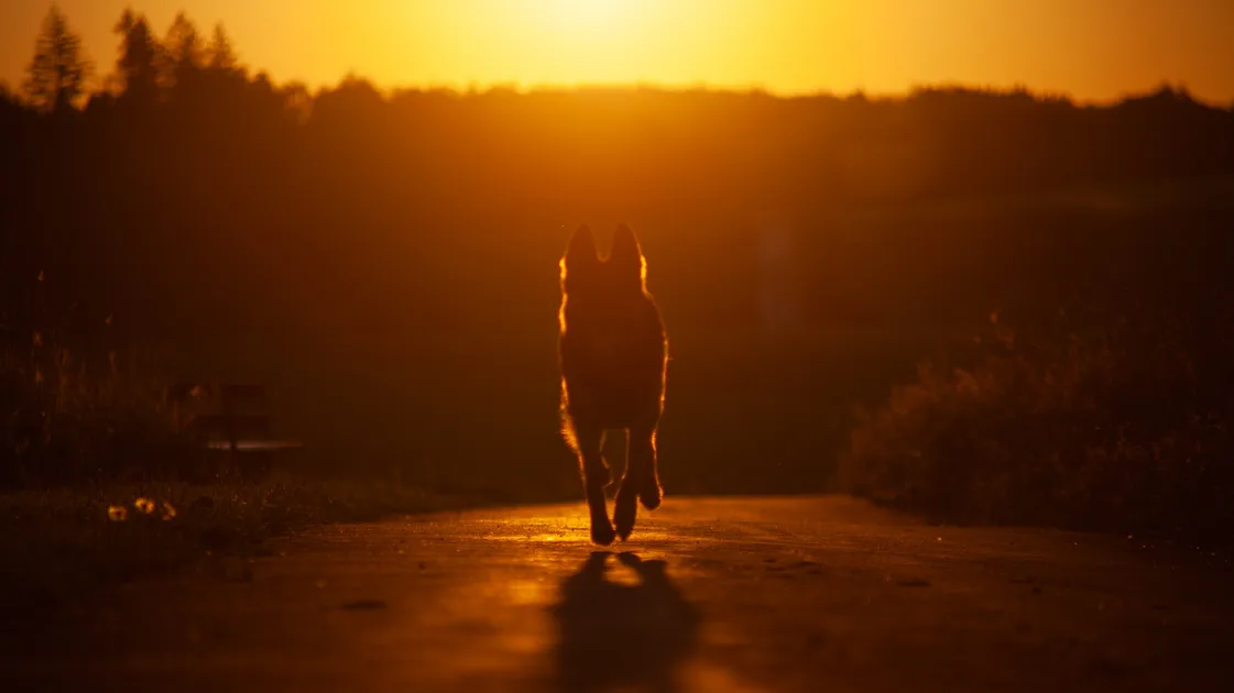 What Mediums Want People To Know About Death