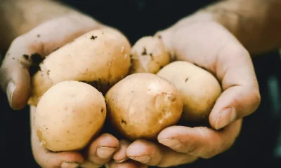 4 Vegetables That Don't Count As One Of Your Five A Day