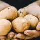 4 Vegetables That Don't Count As One Of Your Five A Day