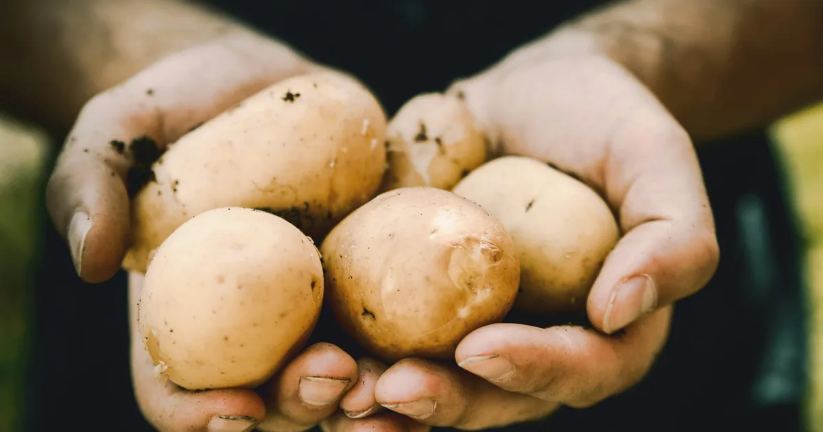 4 Vegetables That Don't Count As One Of Your Five A Day