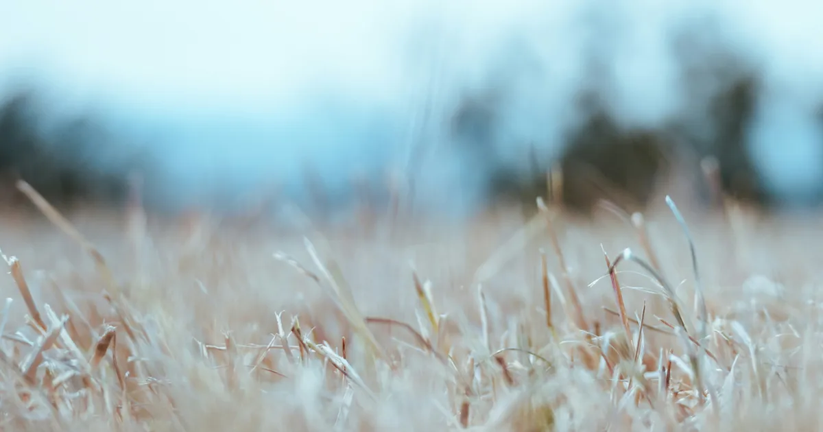 Drought UK: Where Is Affected And What Are The Impacts?