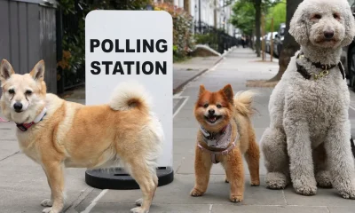Here's Why We May Be Heading For An Early Election