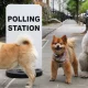 Here's Why We May Be Heading For An Early Election
