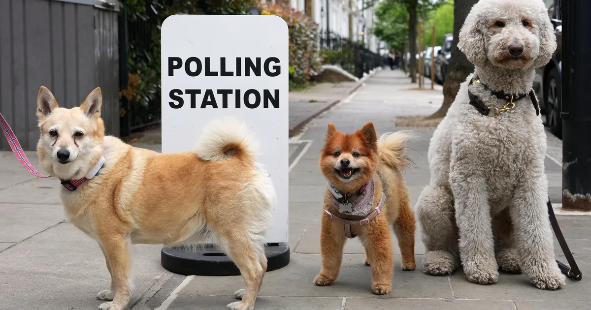 Here's Why We May Be Heading For An Early Election