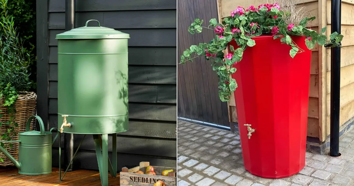 Living In A Hosepipe Ban? Water Butts Are The Secret To A Happy Garden
