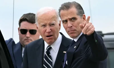 Hunter Biden Savages Trump, Democratic Leaders In NSFW Rant