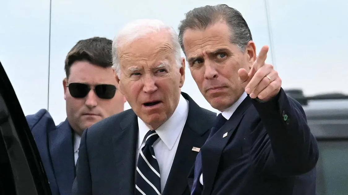 Hunter Biden Savages Trump, Democratic Leaders In NSFW Rant