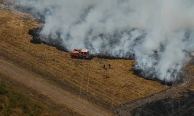 Firefighters work to suppress a fire near Ares, during wildfires in the area of southwestern France, Tuesday, July 28, 2026.