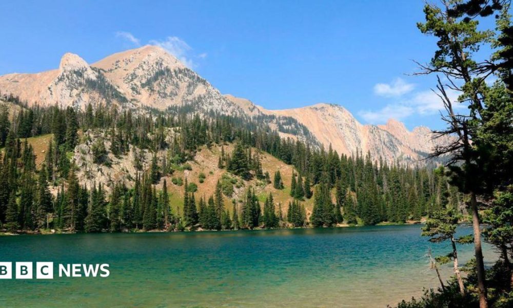 An aqua-blue river runs through a valley surrounded by pine trees and rocky mountains
