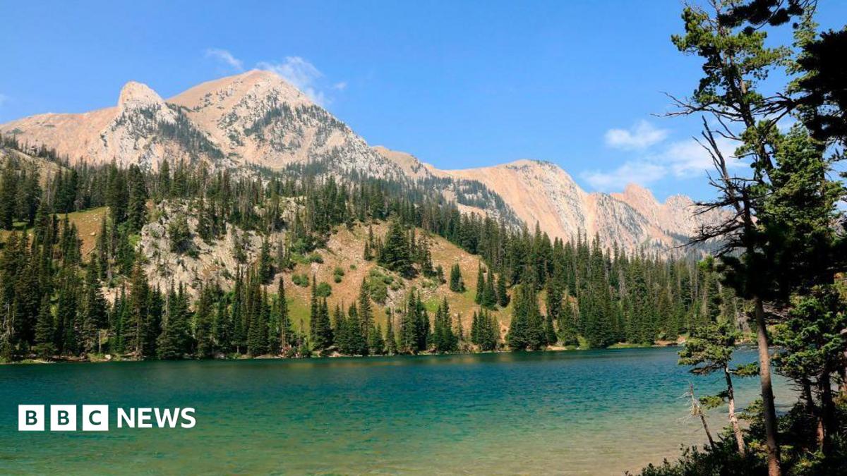 An aqua-blue river runs through a valley surrounded by pine trees and rocky mountains