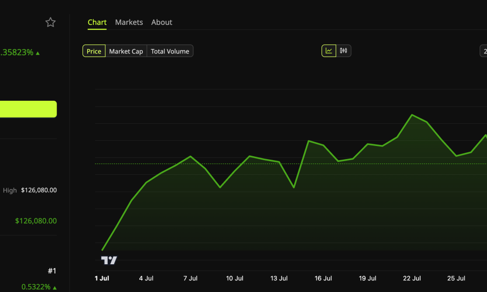 Bitcoin (BTC) Price Performance