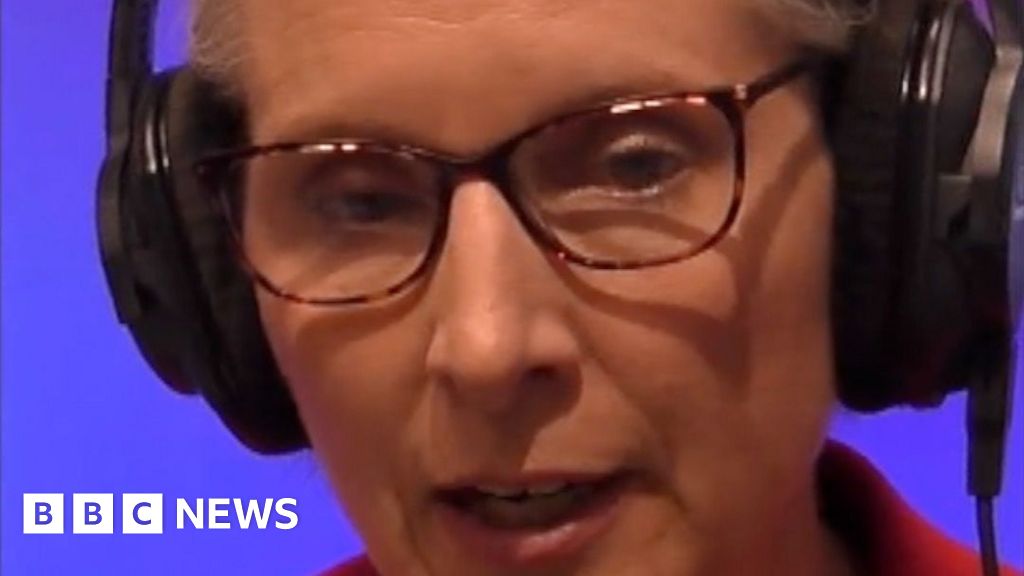 Vertical image of Emma Reynolds speaking on the Today programme