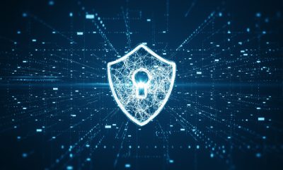 Risks and rewards of open Chinese AI
