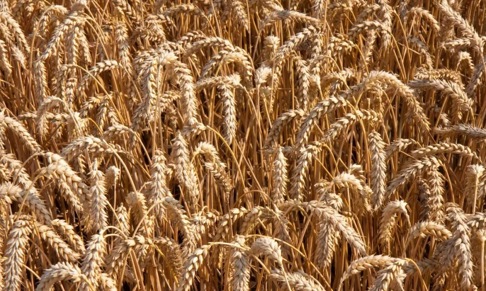 ADM joins General Mills and Walmart in regen ag effort