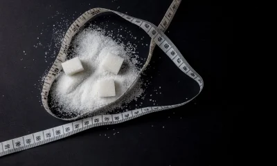 MycoTechnology, Adorvia Biotechnology form sugar-reduction partnership