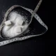 MycoTechnology, Adorvia Biotechnology form sugar-reduction partnership