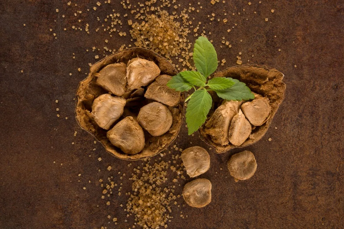 Layn Natural Ingredients expands monk fruit portfolio
