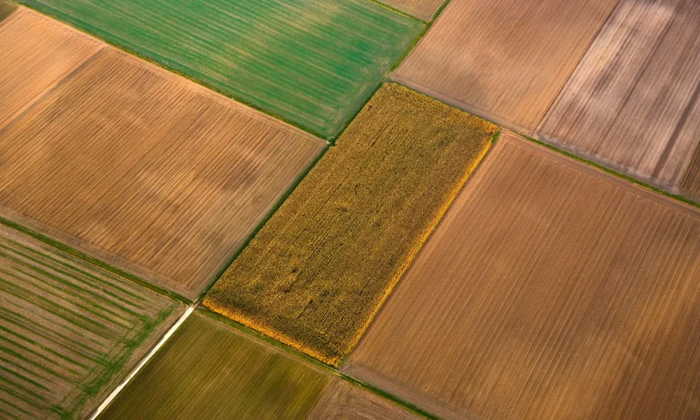 Ag program nears 5 million acres for PepsiCo