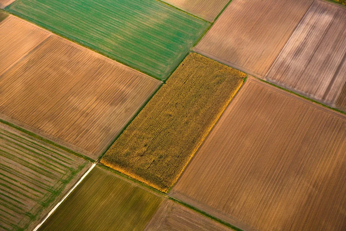 Ag program nears 5 million acres for PepsiCo