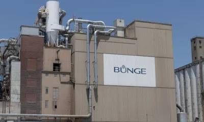 Bunge raises outlook on strong Q2