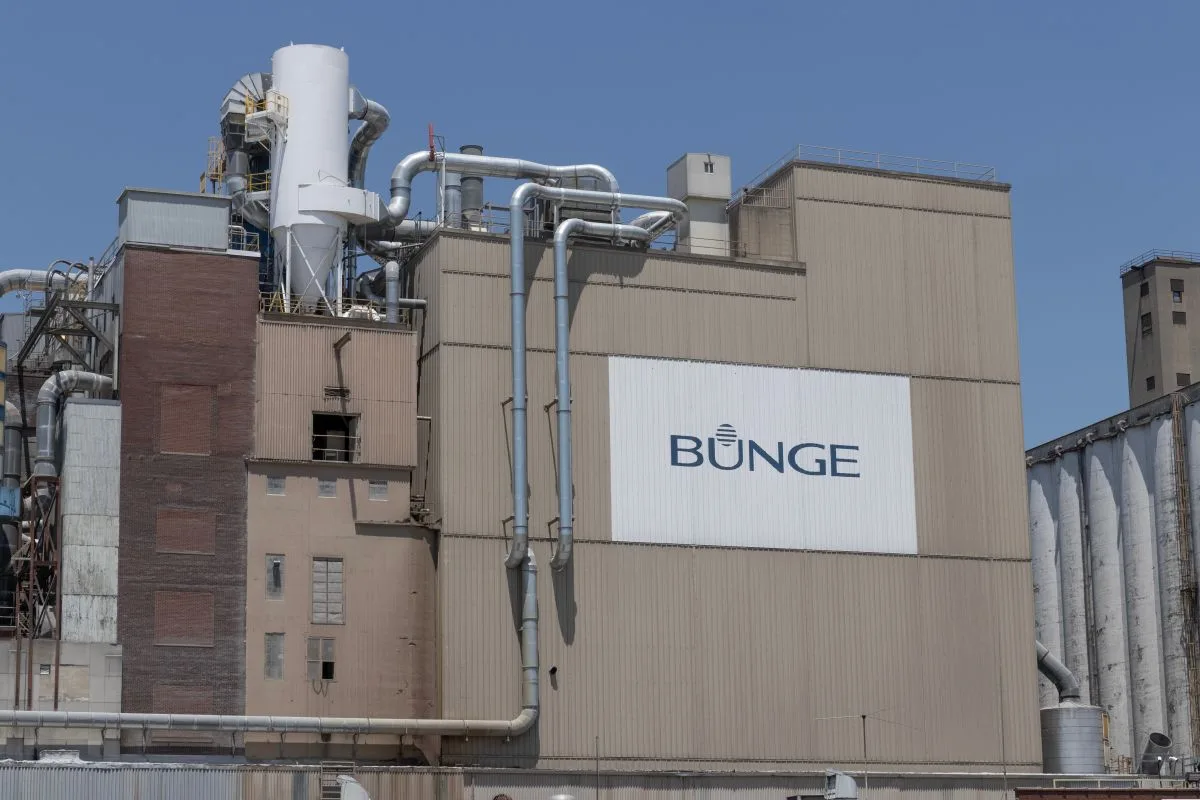 Bunge raises outlook on strong Q2
