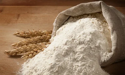 New center to analyze flour variability