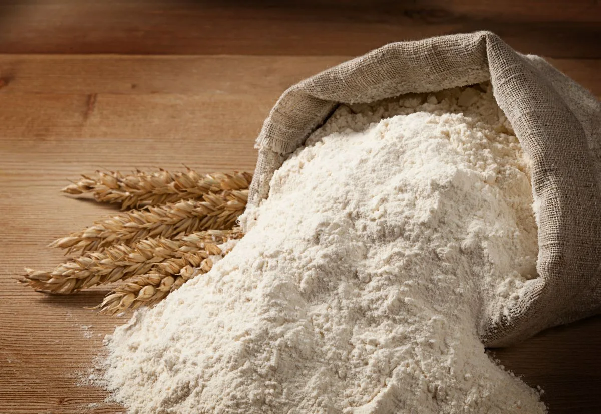 New center to analyze flour variability