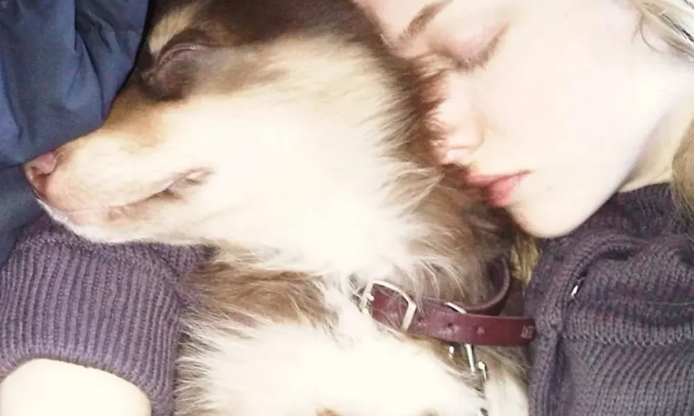 Amanda Seyfried Shares Touching Tribute to Beloved Dog Finn After Death at 16: 'Forever and Ever'