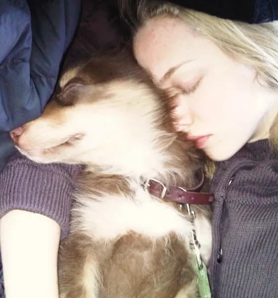 Amanda Seyfried Shares Touching Tribute to Beloved Dog Finn After Death at 16: 'Forever and Ever'