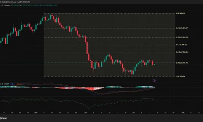 Bitcoin daily chart showing BTC holding above $62.5K below key Fibonacci resistance near $63.1K.