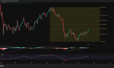 Bitcoin daily chart shows BTC approaching $67,257 Fibonacci resistance with positive MACD momentum.