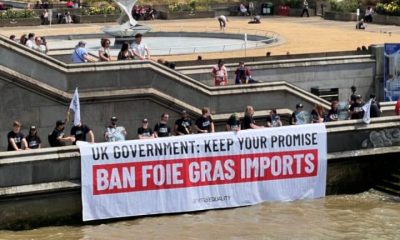 Campaigners display a banner reading UK Government Keep Your Promise Ban Foie Gras Imports