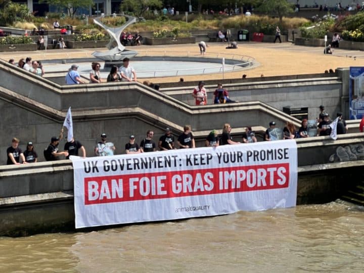 Campaigners display a banner reading UK Government Keep Your Promise Ban Foie Gras Imports
