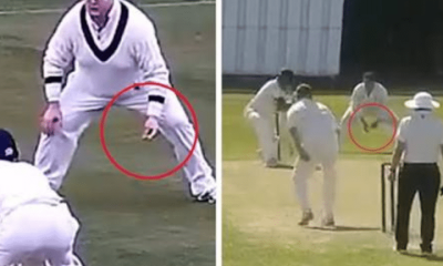 Cricket team under investigation