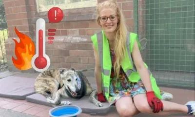 Hannah Spencer of the Green Party and a maxed out thermometer