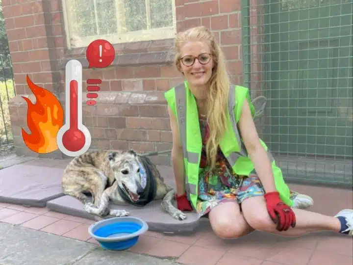 Hannah Spencer of the Green Party and a maxed out thermometer