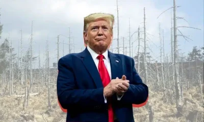 Donald Trump and an image showing the impacts of acid rain