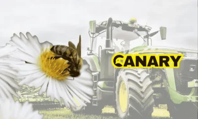 Wildlife destruction